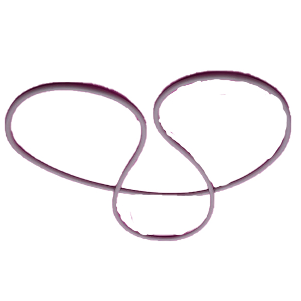 واشر آببندی سیلیکونی صفحه زیرین برای بخارشو مدل  تی رکس T.REX